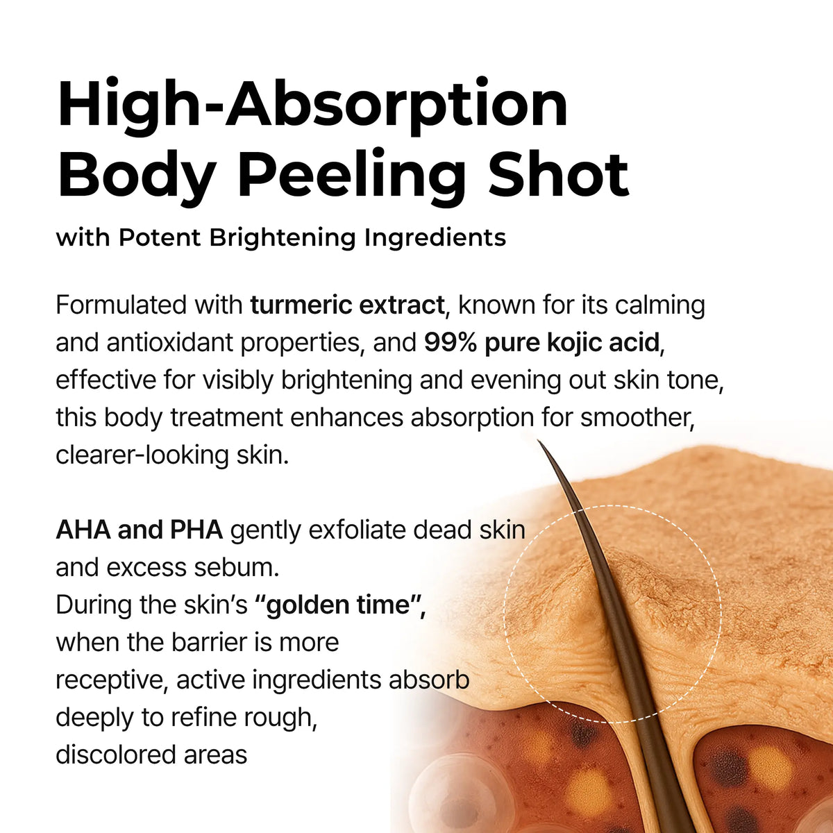 Illustrated skin cross-section showing how the exfoliating actives absorb